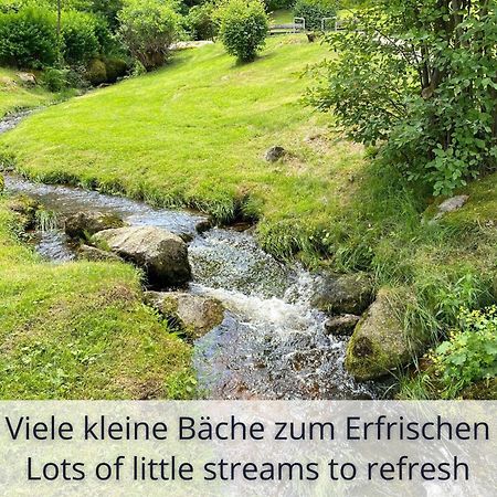 Auszeit Apartment Black Forest Schonach im Schwarzwald Bagian luar foto