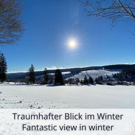 Auszeit Apartment Black Forest Schonach im Schwarzwald Bagian luar foto