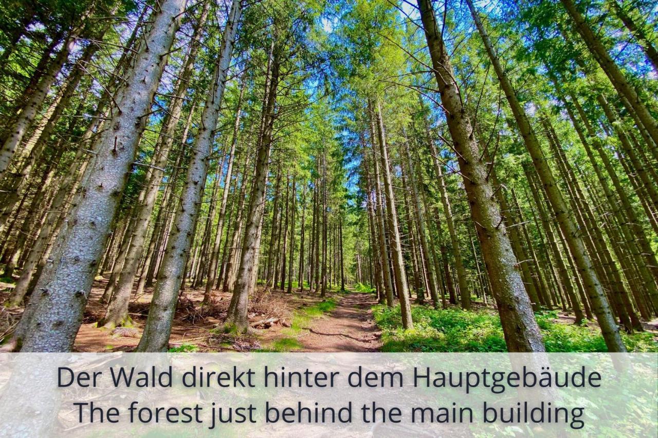 Auszeit Apartment Black Forest Schonach im Schwarzwald Bagian luar foto