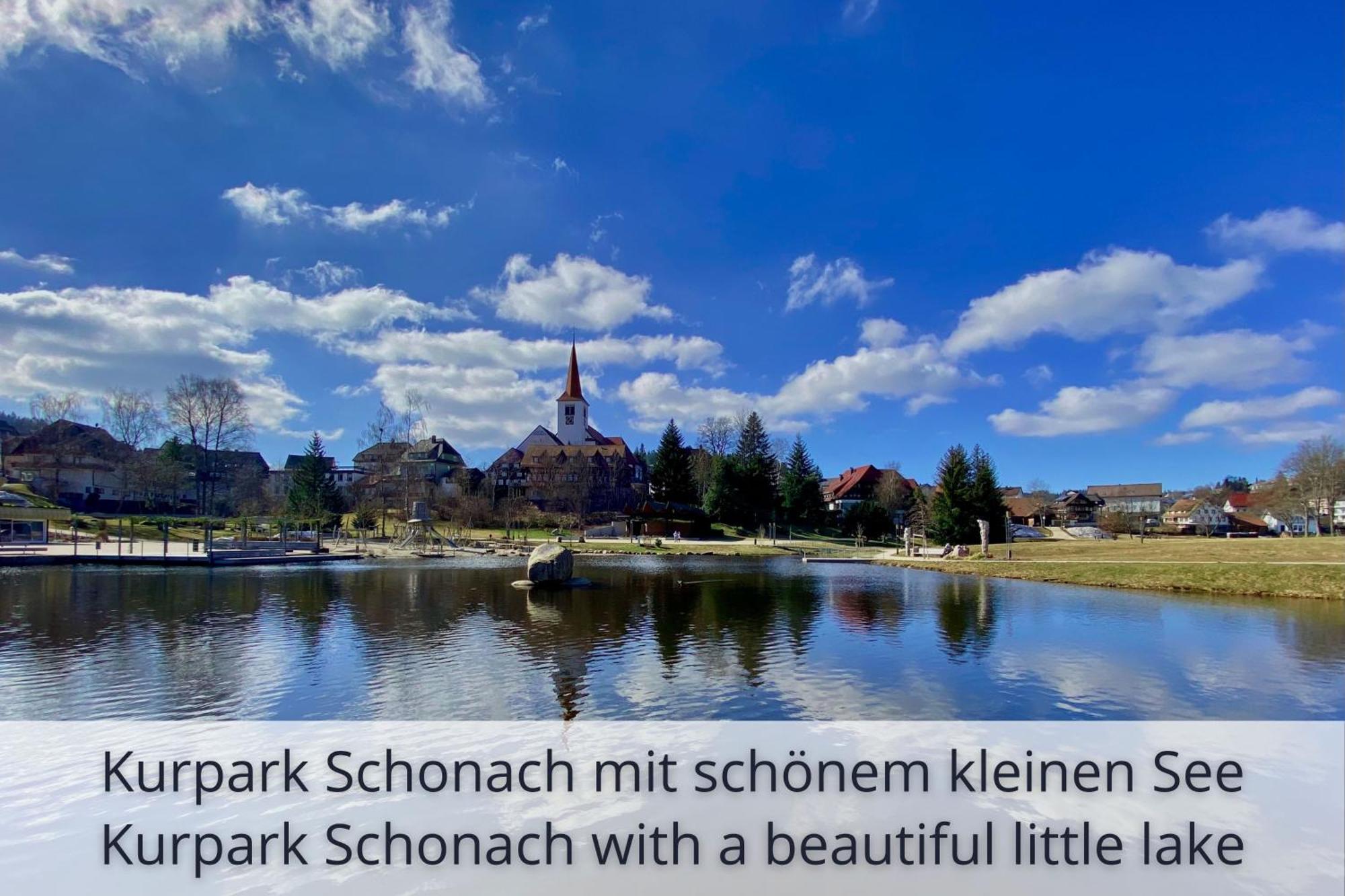 Auszeit Apartment Black Forest Schonach im Schwarzwald Bagian luar foto