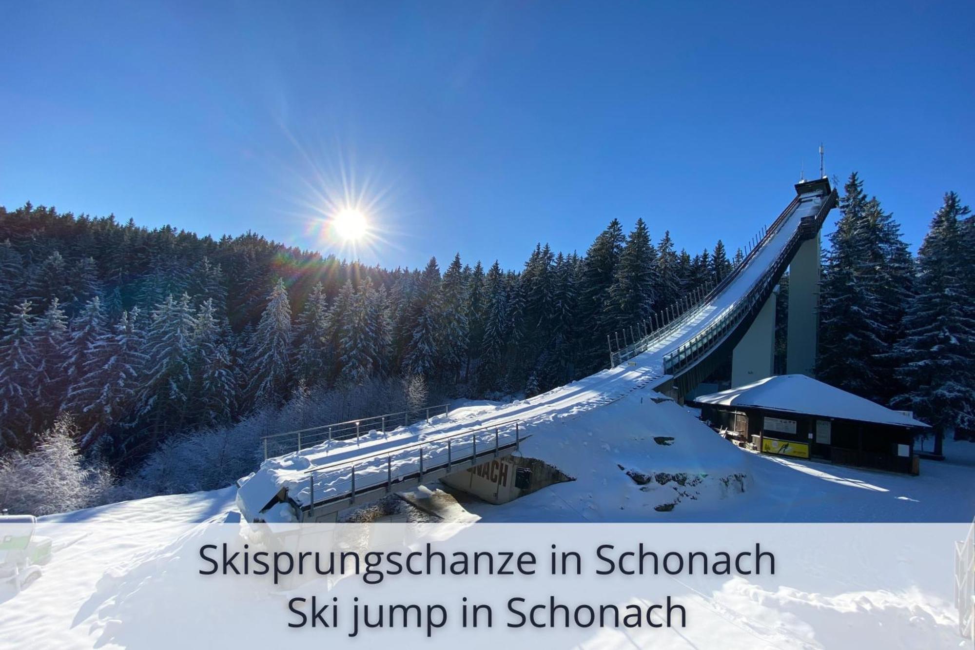 Auszeit Apartment Black Forest Schonach im Schwarzwald Bagian luar foto