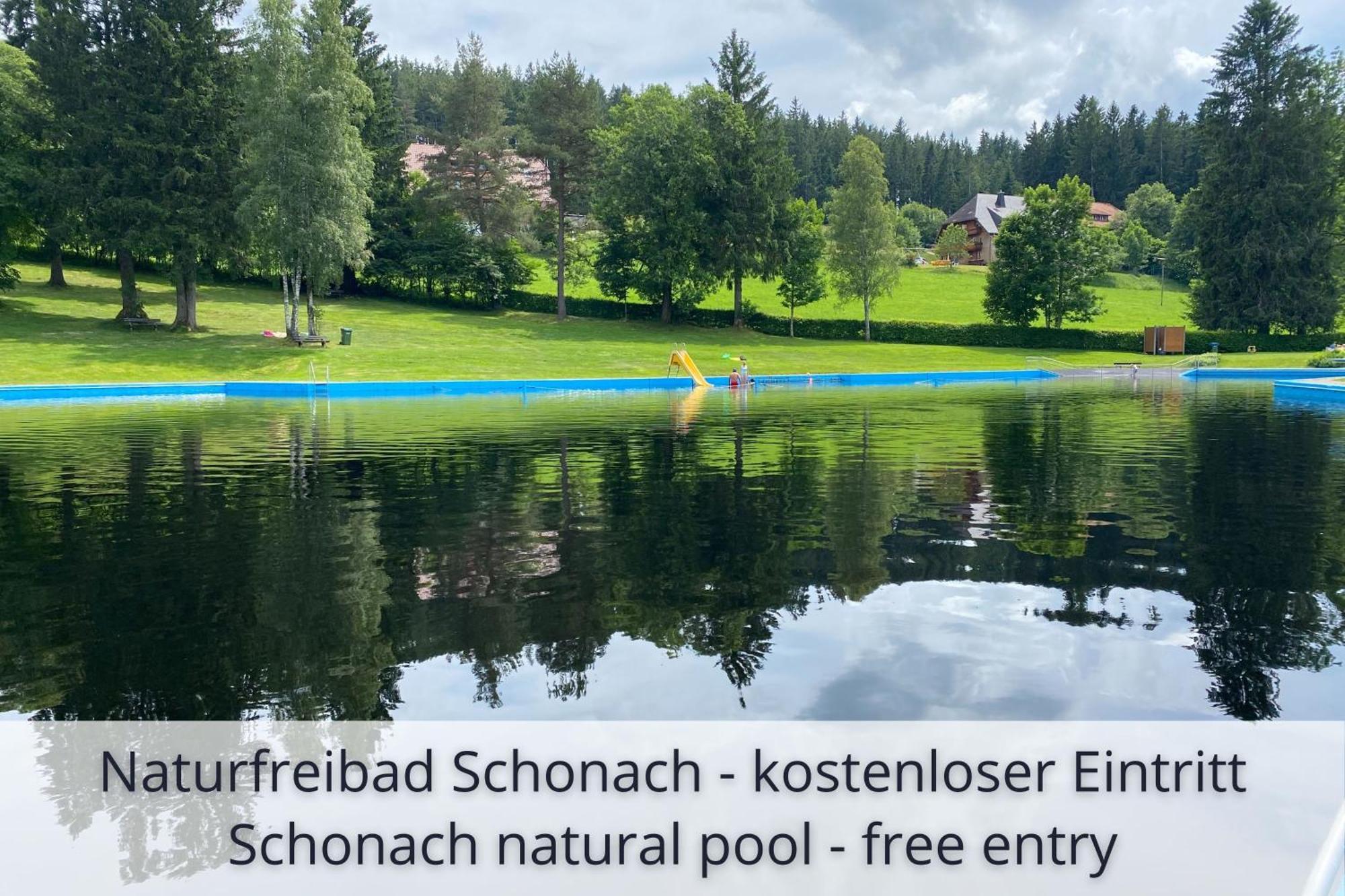 Auszeit Apartment Black Forest Schonach im Schwarzwald Bagian luar foto