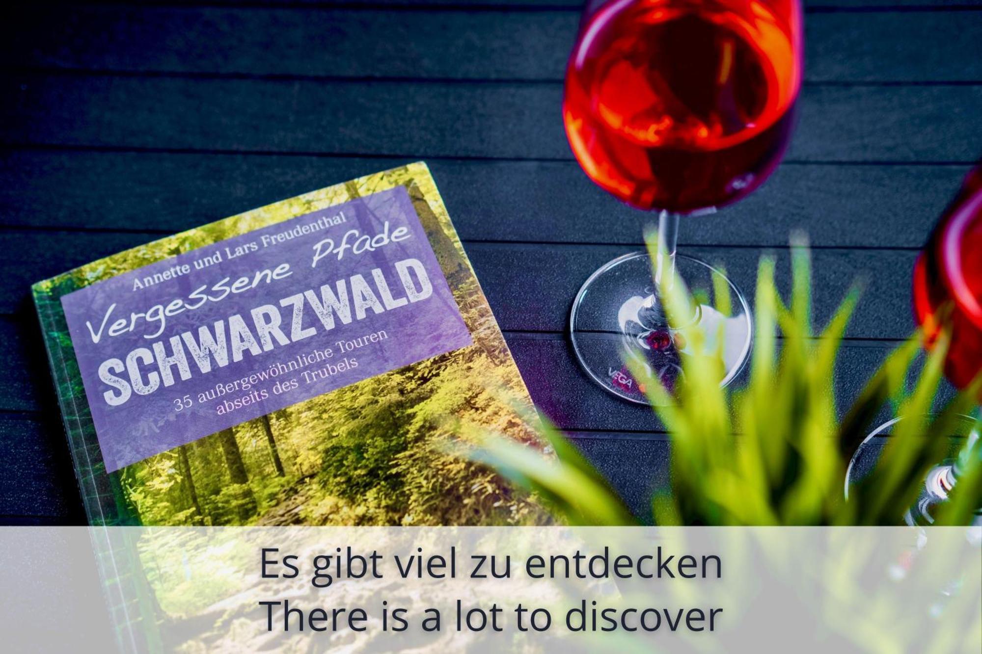 Auszeit Apartment Black Forest Schonach im Schwarzwald Bagian luar foto