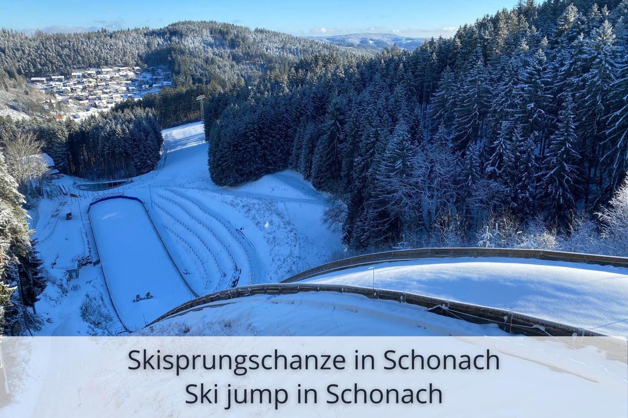 Auszeit Apartment Black Forest Schonach im Schwarzwald Bagian luar foto