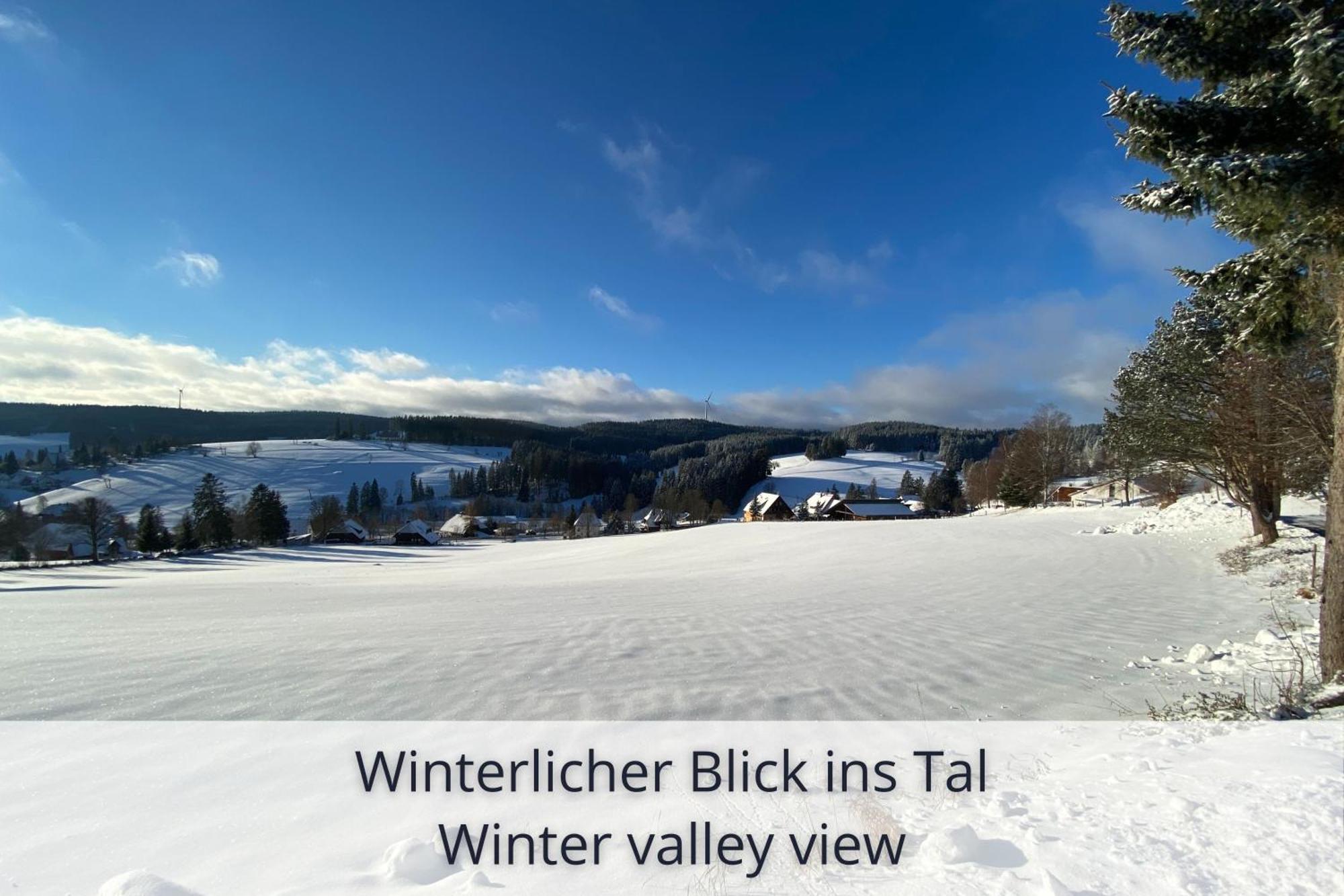 Auszeit Apartment Black Forest Schonach im Schwarzwald Bagian luar foto
