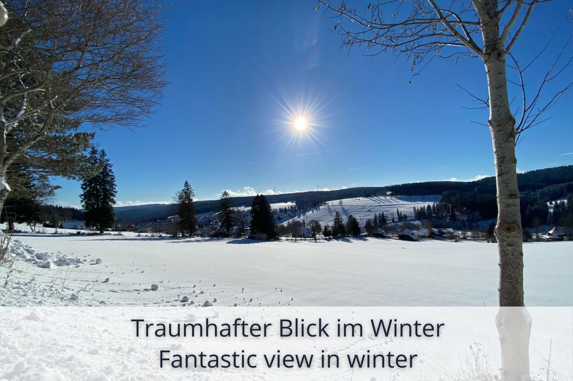 Auszeit Apartment Black Forest Schonach im Schwarzwald Bagian luar foto