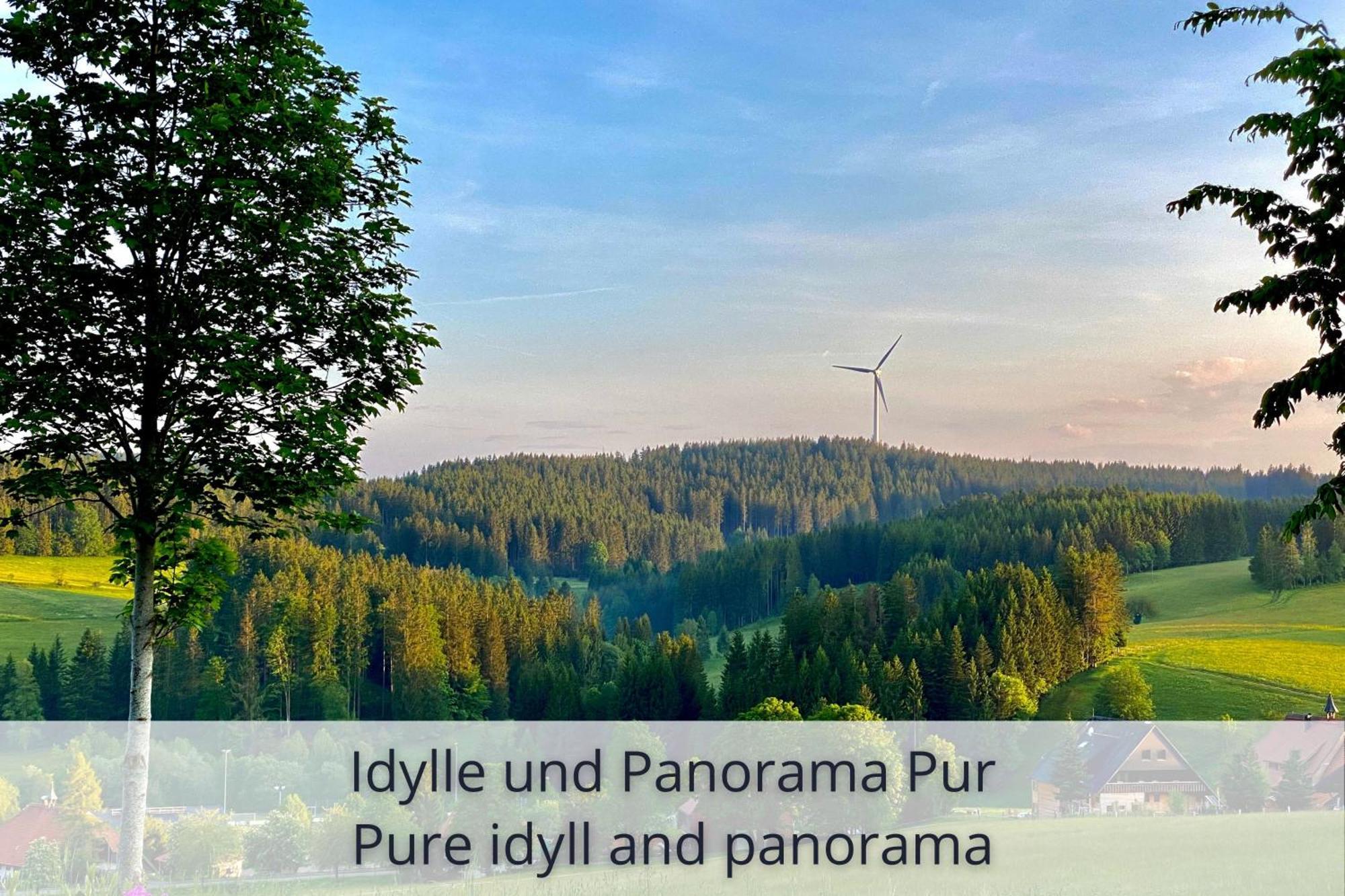 Auszeit Apartment Black Forest Schonach im Schwarzwald Bagian luar foto
