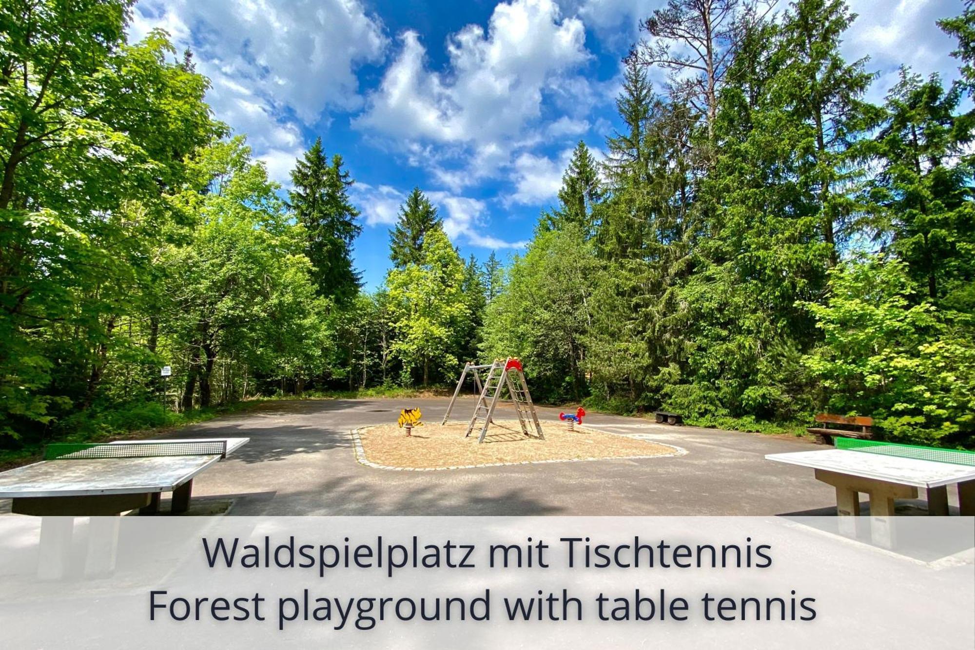 Auszeit Apartment Black Forest Schonach im Schwarzwald Bagian luar foto